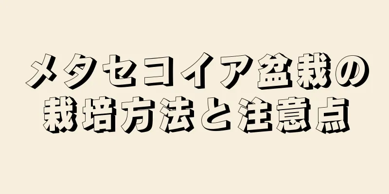 メタセコイア盆栽の栽培方法と注意点