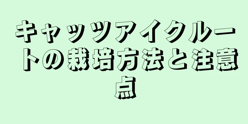 キャッツアイクルートの栽培方法と注意点