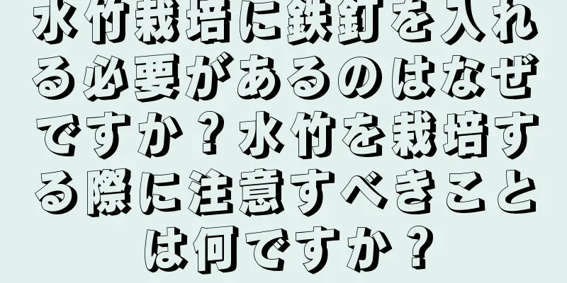 水竹栽培に鉄釘を入れる必要があるのはなぜですか？水竹を栽培する際に注意すべきことは何ですか？