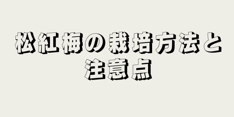 松紅梅の栽培方法と注意点