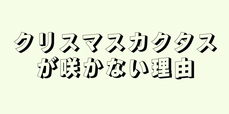 クリスマスカクタスが咲かない理由