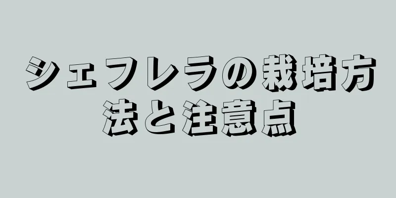 シェフレラの栽培方法と注意点
