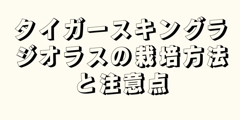 タイガースキングラジオラスの栽培方法と注意点