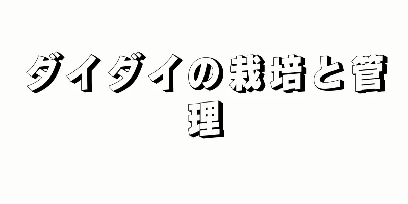 ダイダイの栽培と管理