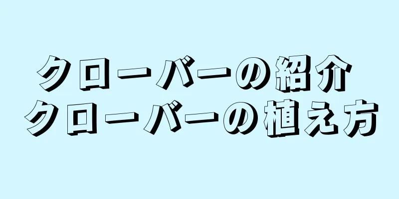 クローバーの紹介 クローバーの植え方
