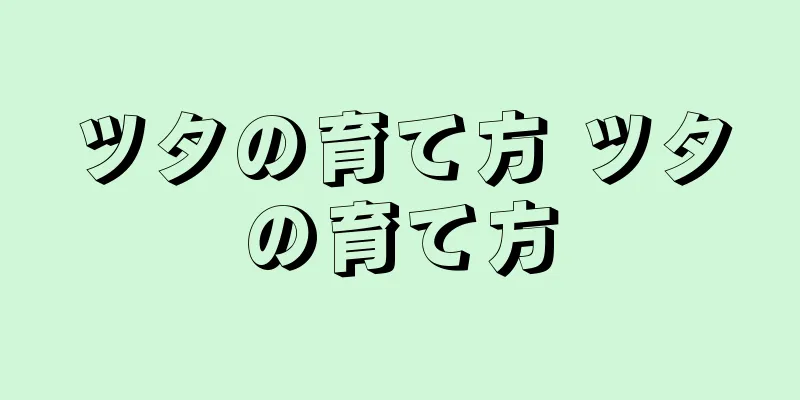 ツタの育て方 ツタの育て方