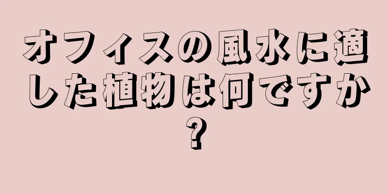 オフィスの風水に適した植物は何ですか?