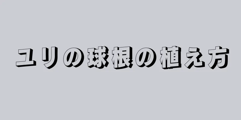 ユリの球根の植え方