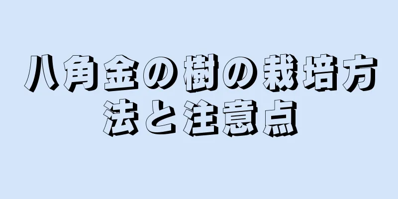 八角金の樹の栽培方法と注意点