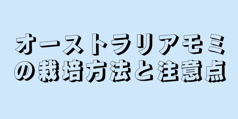 オーストラリアモミの栽培方法と注意点