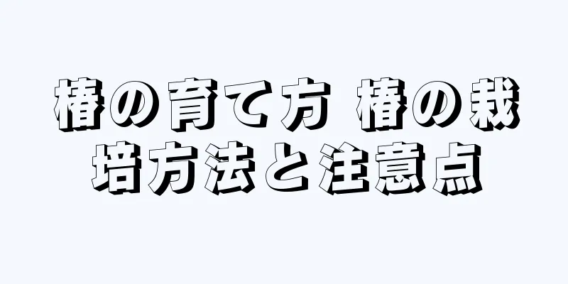 椿の育て方 椿の栽培方法と注意点