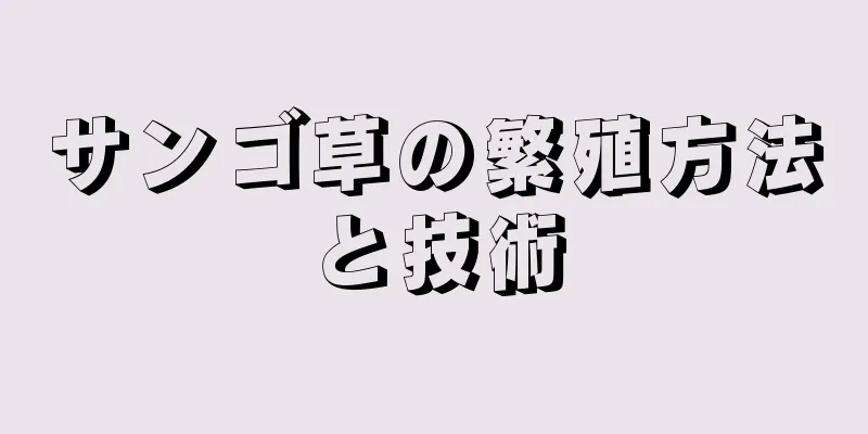 サンゴ草の繁殖方法と技術
