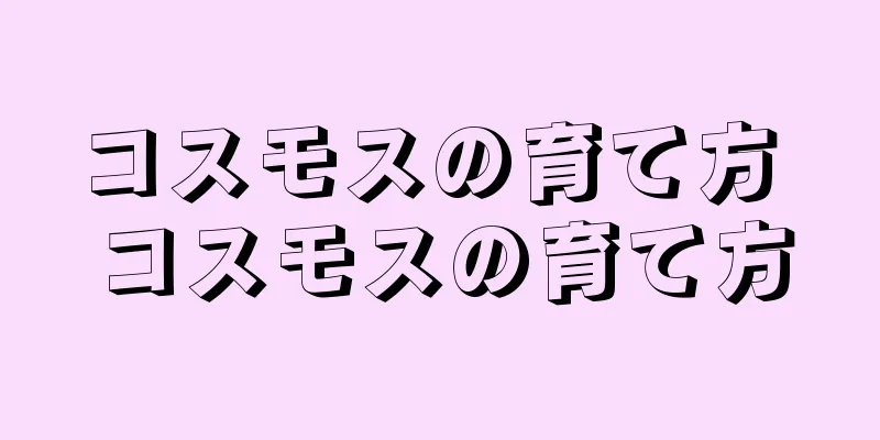 コスモスの育て方 コスモスの育て方