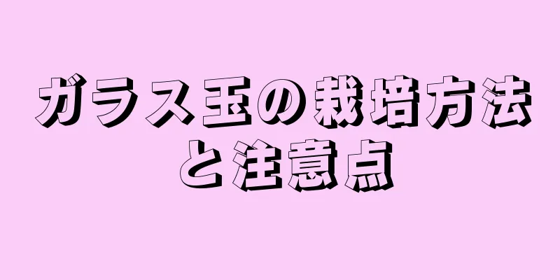 ガラス玉の栽培方法と注意点