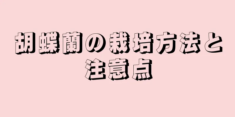 胡蝶蘭の栽培方法と注意点