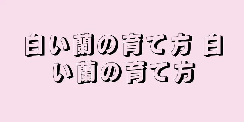白い蘭の育て方 白い蘭の育て方