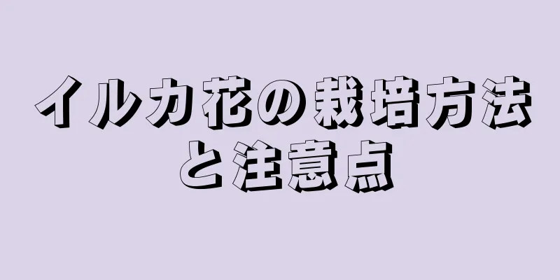 イルカ花の栽培方法と注意点
