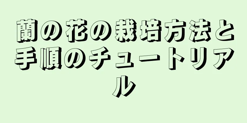 蘭の花の栽培方法と手順のチュートリアル