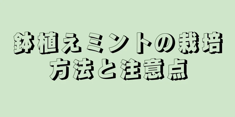 鉢植えミントの栽培方法と注意点