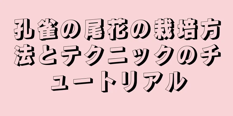孔雀の尾花の栽培方法とテクニックのチュートリアル