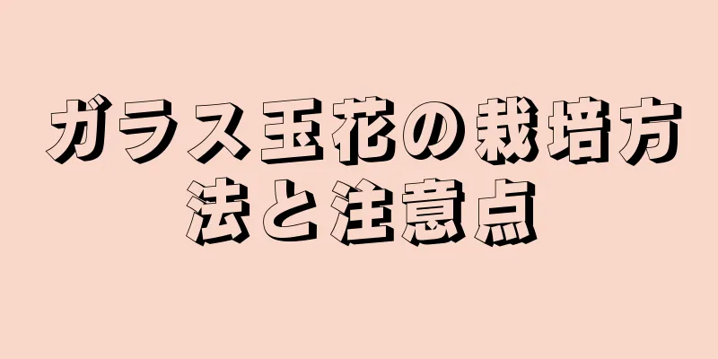 ガラス玉花の栽培方法と注意点