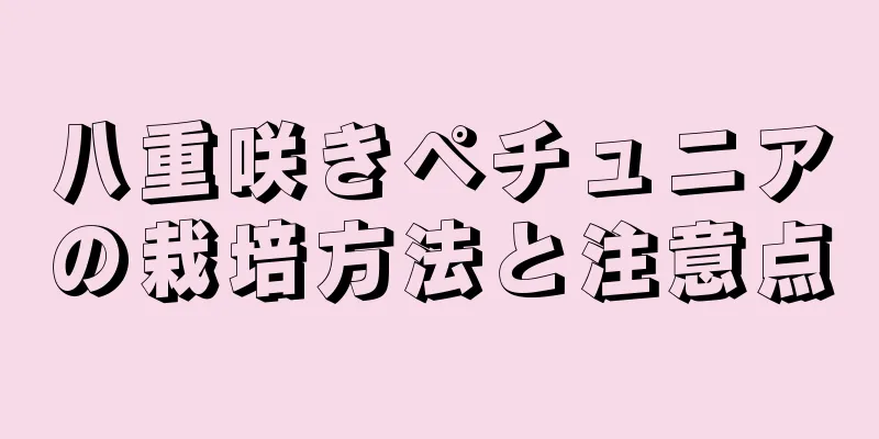 八重咲きペチュニアの栽培方法と注意点