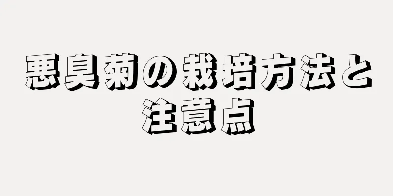 悪臭菊の栽培方法と注意点