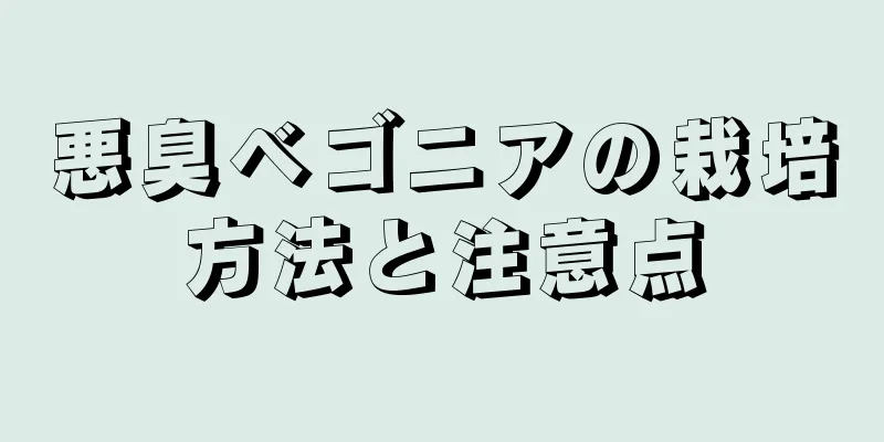 悪臭ベゴニアの栽培方法と注意点