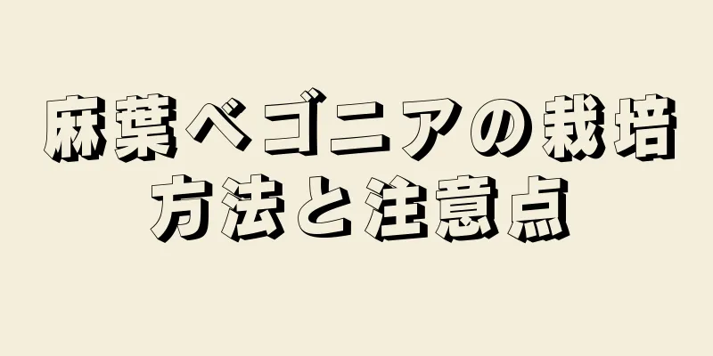 麻葉ベゴニアの栽培方法と注意点