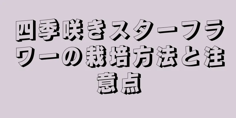 四季咲きスターフラワーの栽培方法と注意点