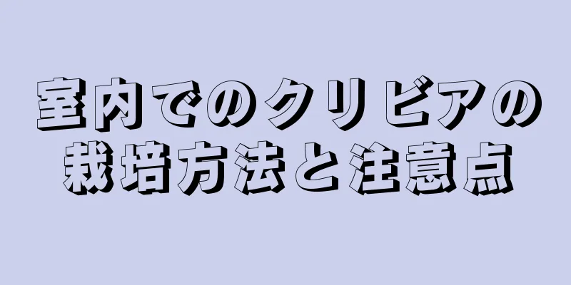 室内でのクリビアの栽培方法と注意点