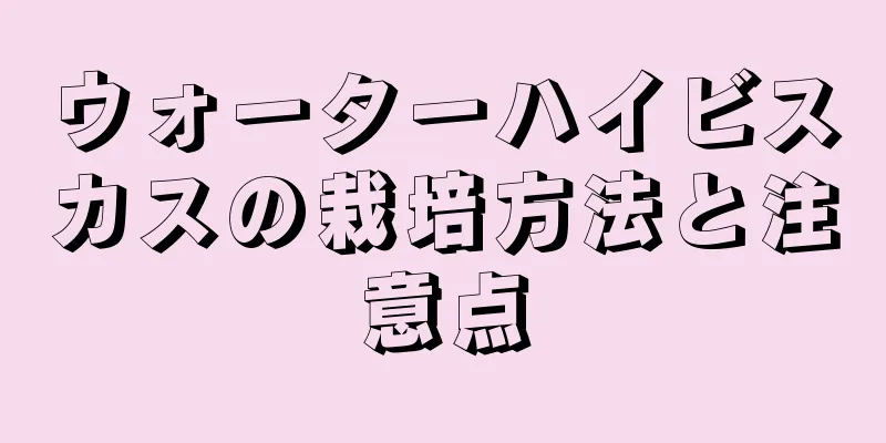 ウォーターハイビスカスの栽培方法と注意点