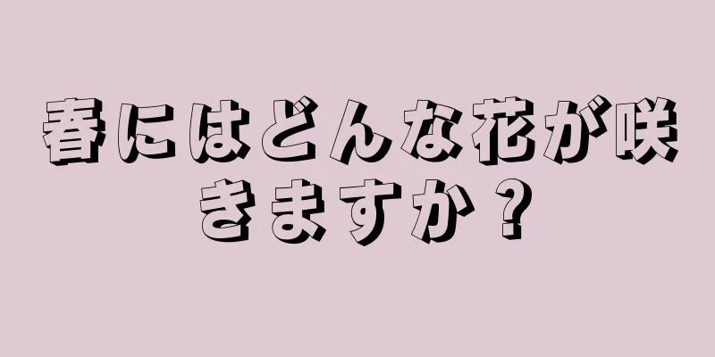 春にはどんな花が咲きますか？