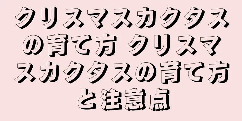 クリスマスカクタスの育て方 クリスマスカクタスの育て方と注意点