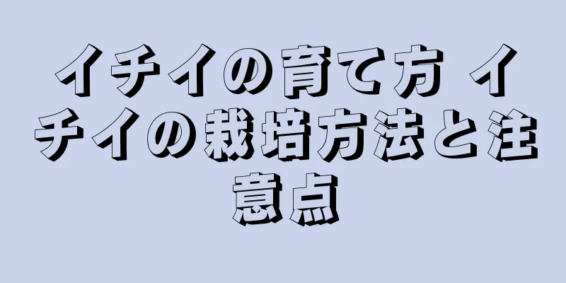 イチイの育て方 イチイの栽培方法と注意点