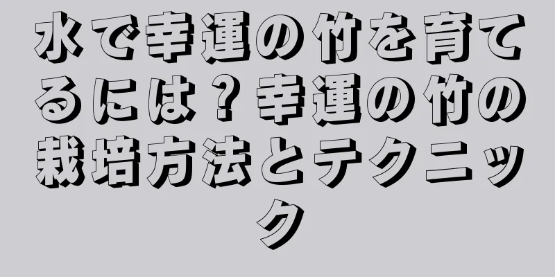 水で幸運の竹を育てるには？幸運の竹の栽培方法とテクニック