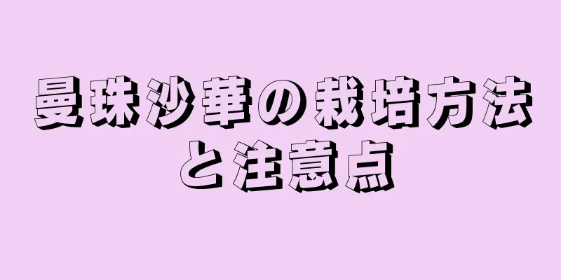 曼珠沙華の栽培方法と注意点