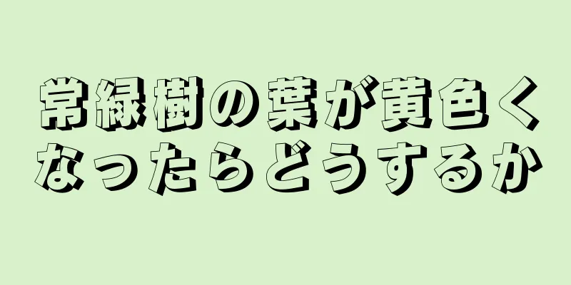 常緑樹の葉が黄色くなったらどうするか