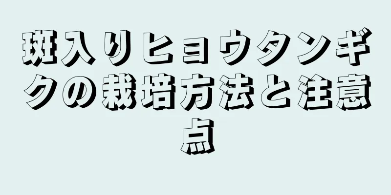 斑入りヒョウタンギクの栽培方法と注意点