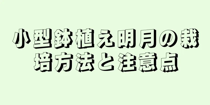 小型鉢植え明月の栽培方法と注意点
