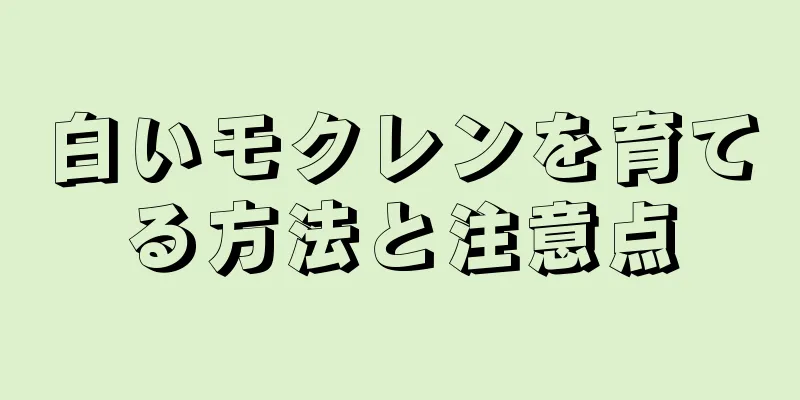 白いモクレンを育てる方法と注意点