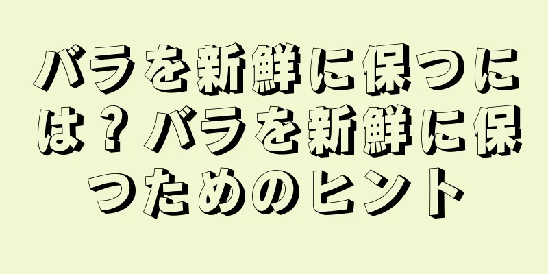 バラを新鮮に保つには？バラを新鮮に保つためのヒント