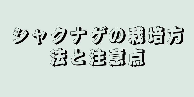シャクナゲの栽培方法と注意点