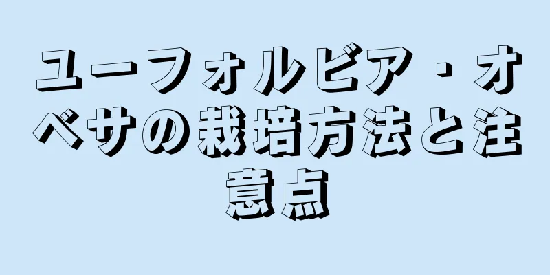 ユーフォルビア・オベサの栽培方法と注意点