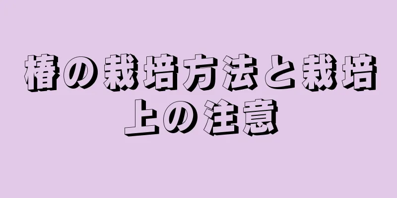 椿の栽培方法と栽培上の注意