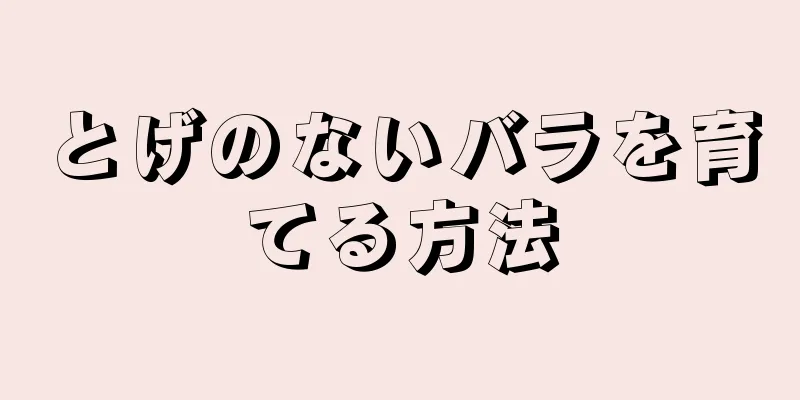 とげのないバラを育てる方法