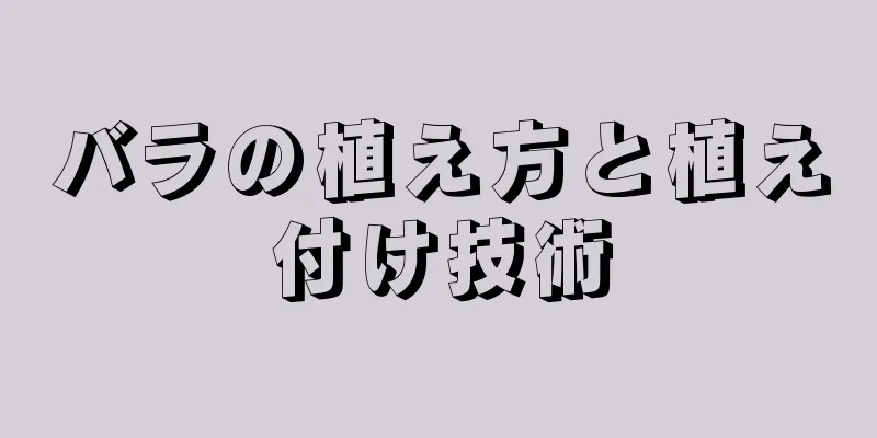 バラの植え方と植え付け技術