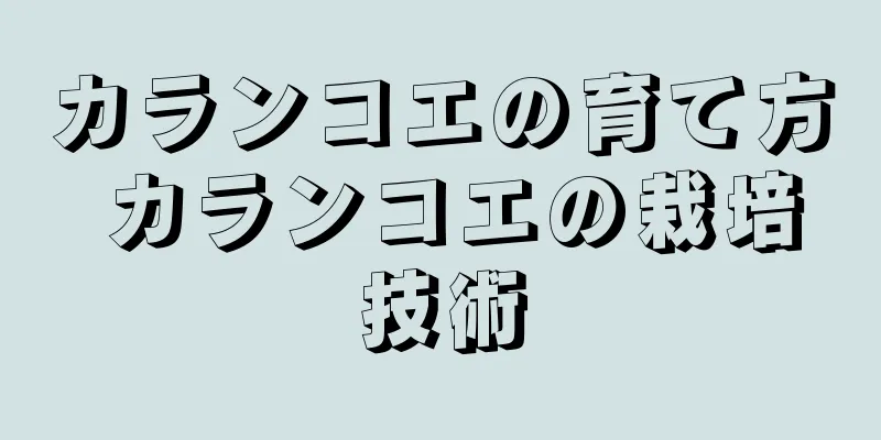 カランコエの育て方 カランコエの栽培技術
