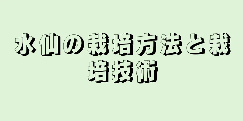 水仙の栽培方法と栽培技術
