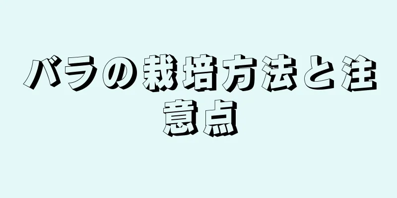 バラの栽培方法と注意点